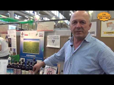 La Malvasia Moscata di Barge Cuneo