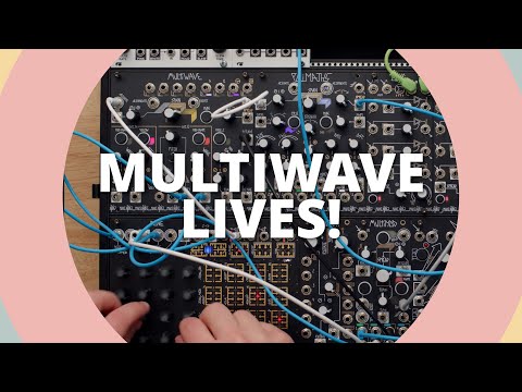 I caved and bought a MAKE NOISE Multiwave