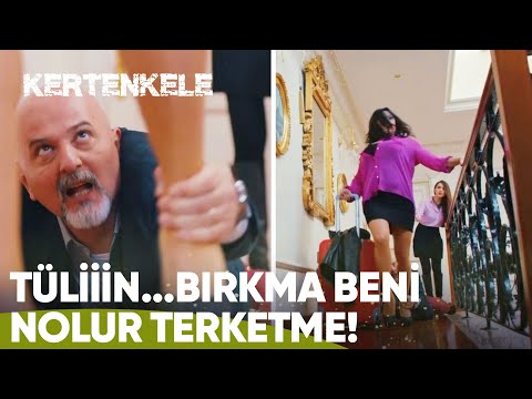 Ferruh, onu terkeden Tülin'in ayaklarına kapandı 😂 - Kertenkele 19. Bölüm