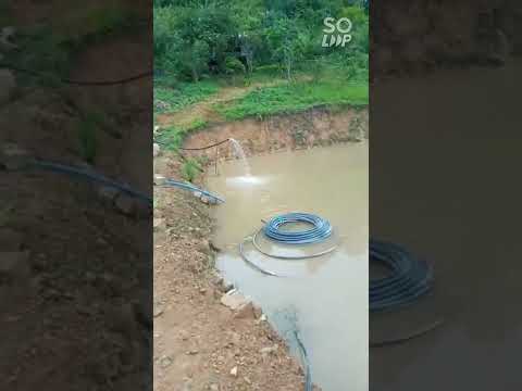 Turnipui kan dodai, Kan sangha dil