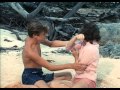 Flipper