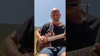 Donnie V, Dust My Broom, Robert Johnson and Elmore James