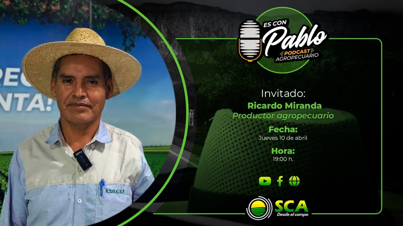 RICARDO MIRANDA