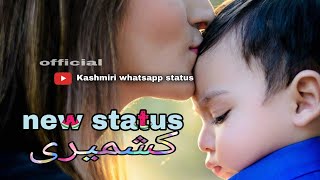 kasmiri status latest  kashmiri status  mom status