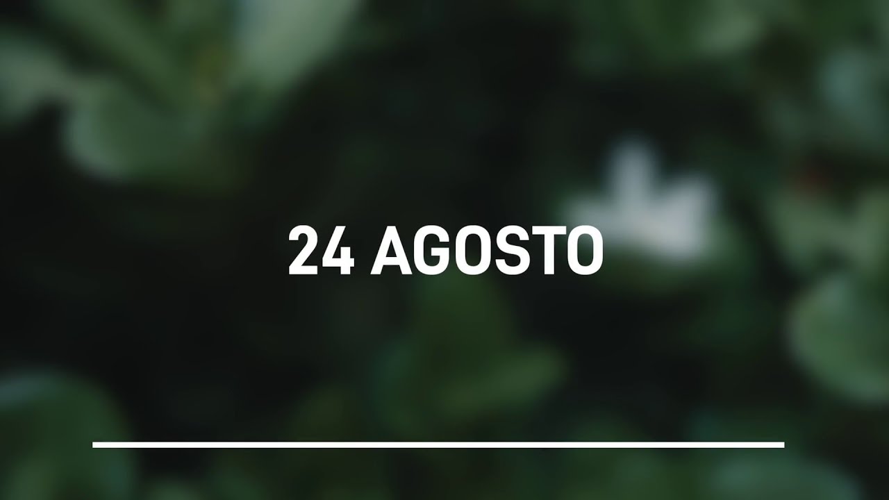 Meditazione Calendario “Parole di Vita” del 24 Agosto 2023