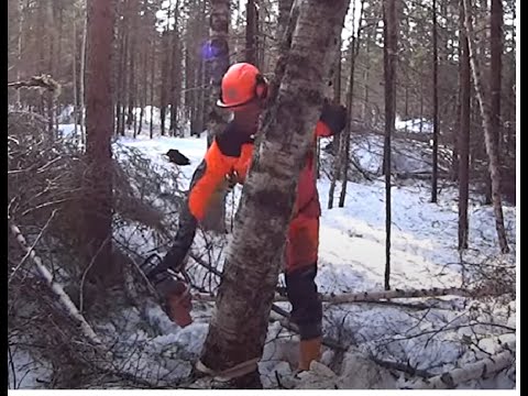 Ja tuas konkelo - prr***leee