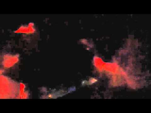 Dave Clarke fuse replay