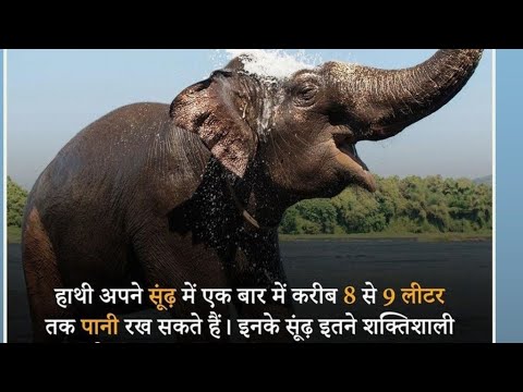Kya aap jante hai????
