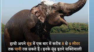 Kya aap jante hai???? MQDEFAULT Thumbnail