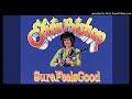 Elvin Bishop - Sure Feels Good [HD]