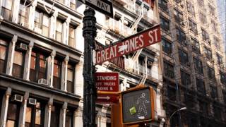 Luna - Great Jones Street