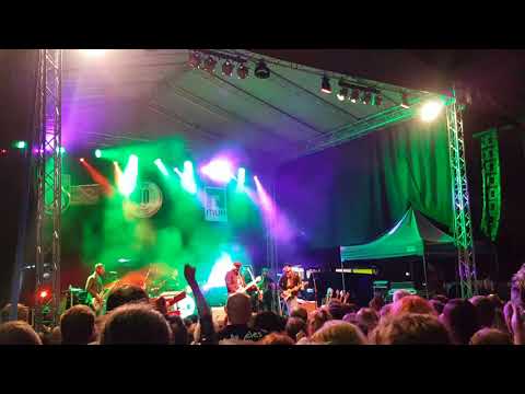 I.M.T. Smile: Exotica