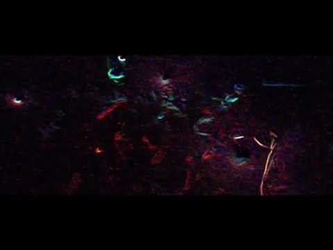 Xavier Wulf - Dark Moon Fang Style (MUSIC VIDEO)