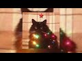 Justin Bieber Mariah Carey All I Want For Christmas Is You Sped Up