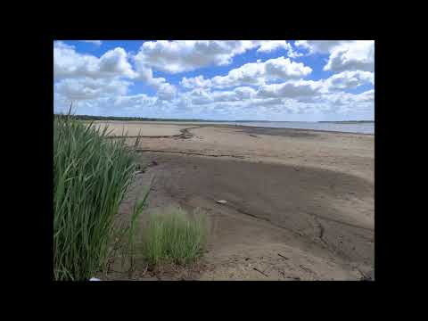 Ave Ati, isla Almería Casa Blanca Paysandú Uruguay, espina de Acacias Negra y fruto desconocido
