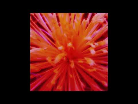 MILLIC - CLIONE (feat. Sion) (Official Lyric Video)