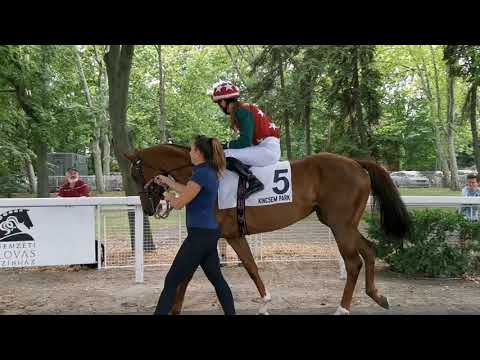 Jaross Sándor EV 2020.07.27