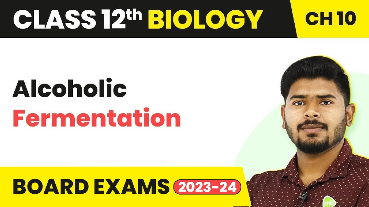Class 12 Biology Chapter 10 | Alcoholic Fermentation - Microbes in Human Welfare (2022-23)