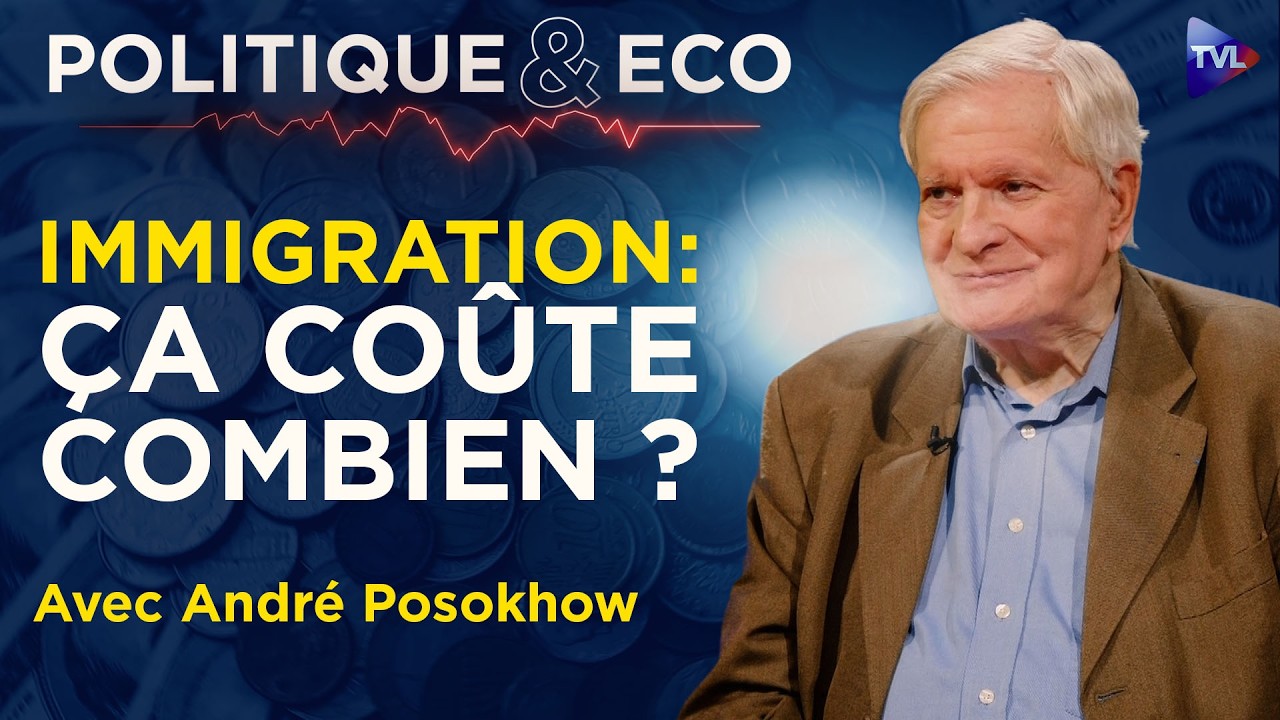 Illustration: Immigration extra-européenne : 250 milliards de déficit selon une enquête d'André Posokov