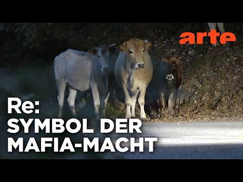 Die heiligen Kühe der Mafia | ARTE Re: