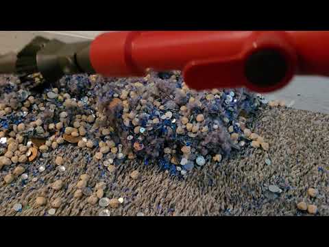 Dyson in hallway with Blue Magic 🎩 💙 | Vacuum sounds