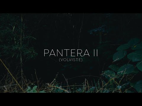 Anakena - Pantera II (Volviste) (Visualizer)