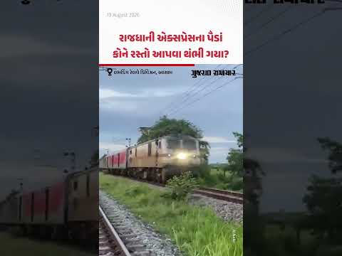 Assamના લમડિંગ રેલવે ડિવિઝનમાં રાજધાની એક્સપ્રેસ રોકીને હાથીઓના ટોળાને સુરક્ષિત રસ્તો અપાયો! Assamના લમડિંગ રેલવે ડિવિઝનમાં રાજધાની એક્સપ્રેસ રોકીને હાથીઓના ટોળાને સુરક્ષિત રસ્તો અપાયો!