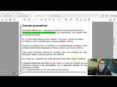 Coesão textual - lexical e gramatical