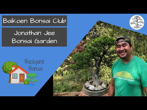 Jonathan Jee - Bonsai Garden - Baikoen Bonsai Club - Safer @ Home Bonsai Series