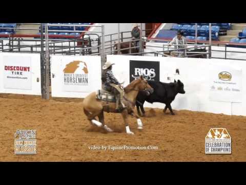 The Smart Dun ridden by Morgan Holmes  - 2016 Celebration of Champions (Cow Work NP Derby Finals)