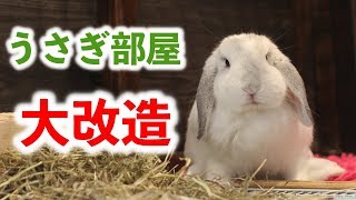 うさぎ部屋を防寒対策用に改造したった！