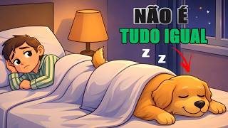 As 10 formas diferentes do seu cachorro dormir com você —  NENHUMA é por ACASO! 🐕