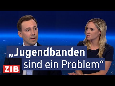 Mehr Kameraüberwachung – Was plant die ÖVP? | ZIB2 vom 10.08.2025