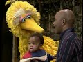 2189 Big Bird Tries To Find A Way To Play With Gordon