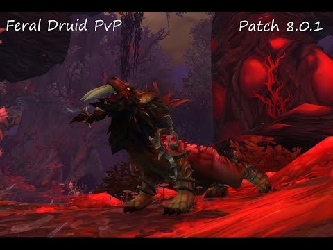 World of Warcraft Legion: Prepatch 8.0.1 PvP Feral Druid (2v2 Arena)
