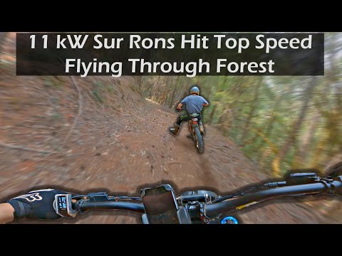 11,000 Watt Sur Rons Put the Hammer Down in the Forest || Raw Highlights