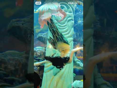 Underwater Dance Mermaid Merman - Choreography Real Jalpari #shorts #jalpari #Mermaid #mermaids