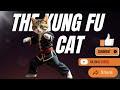The Kung Fu Cat