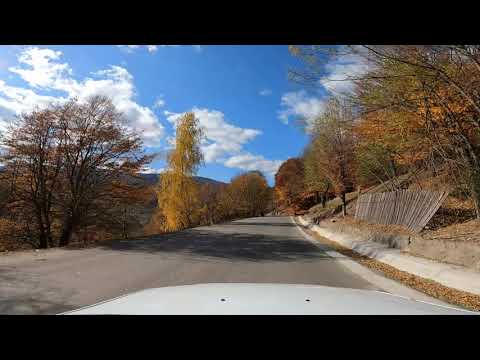 O zi superba de toamna pe Valea Uzului - traseu DJ 123 - Salatruc - Sansimion - Partea I