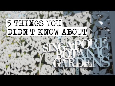 Singapore Botanic Gardens: 5 Things You Didn't Know | CNA Insider