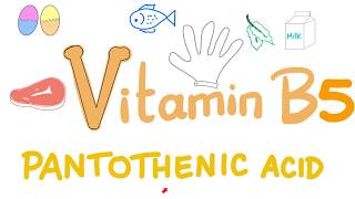 Vitamin B5 (Pantothenic Acid) 🥬🍗🍳