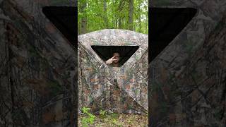 A See-Through Hunting Blind? TideWe Vis 360 Review #shorts #tidewe #hunting #budgethuntinggear