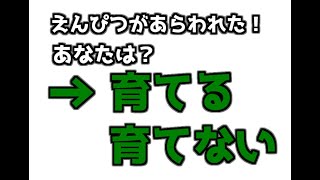 めのまえにえんぴつがあらわれた！【鉛筆育成ゲーム】