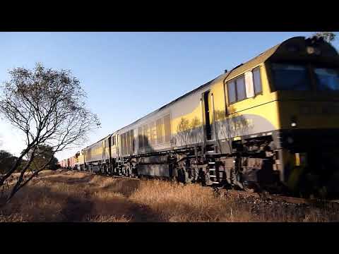 The first Qube trial run 3AM6 flys through Monteith - 03/12/2019