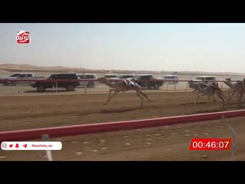  ش 2 (افران) لـ محمد سالم بن مكتوم الجنيبي 2:05  , شارة الصندوق 2026/2/07 فطامين الروضة