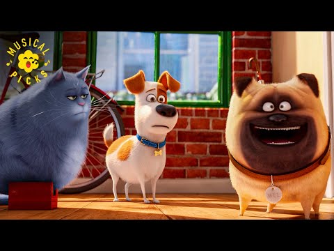 Welcome to New York (Taylor Swift) - Meet The Pets | The Secret Life of Pets