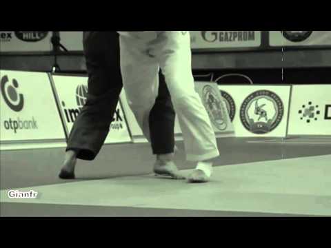 Judo Sraka Rasa - Ippon dal mondo