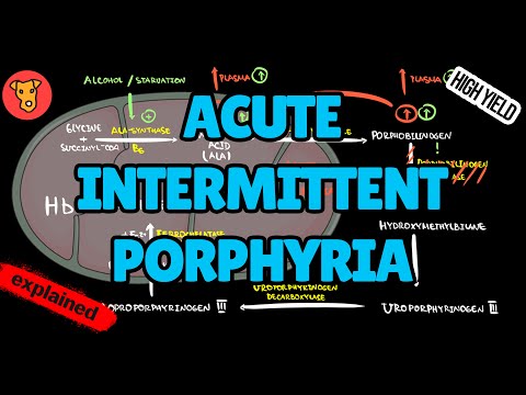 Acute Intermittent Porphyria EXPLAINED: Pathogenesis, Clinical Clues & Diagnosis (USMLE High-Yield)