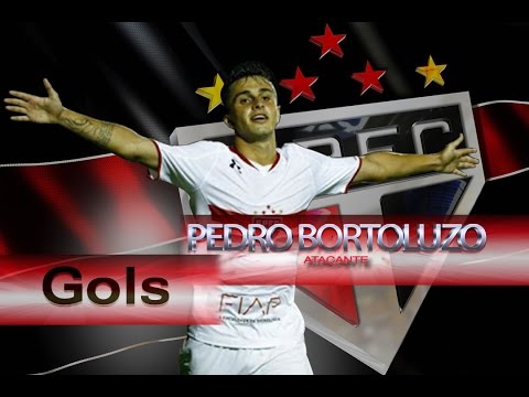 Pedro Bortoluzo Artilheiro - Campeonato Brasileiro Sub 20 2016