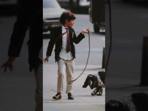 The Kennedy Dynasty’s Last Hope: Inside JFK Jr.’s Unrealised Potential